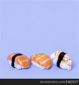 copy space fresh sushi