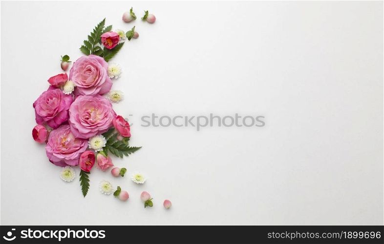 Copy space roses flowers Picture on pik. Resolution and high quality beautiful photo. Copy space roses flowers Picture on pik. High quality beautiful photo concept