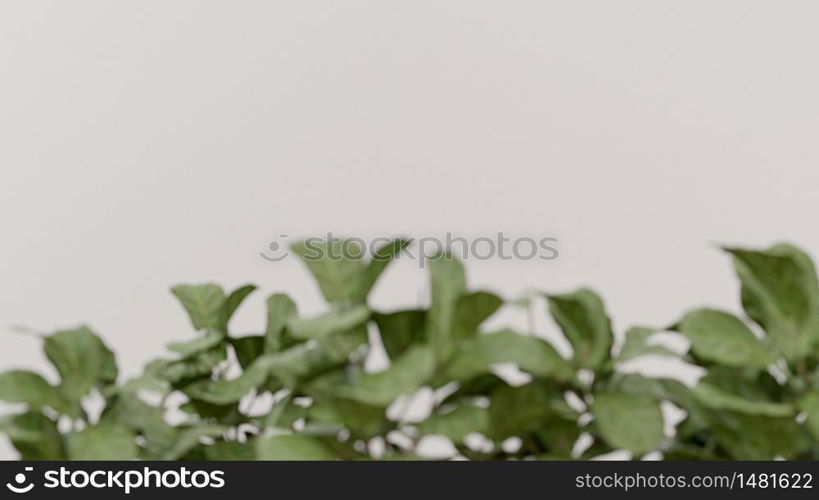 Copyspace of empty white wall and blured tree.