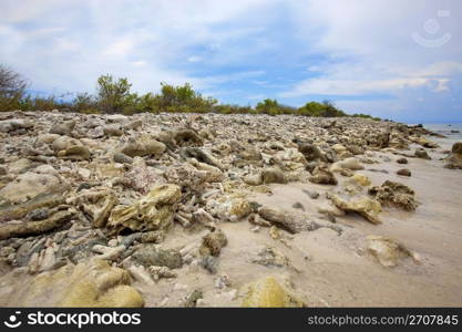 Coral beach on Klein (little) Bonaire, Caribbean