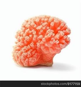 Coral isolated. Illustration Generative AI 