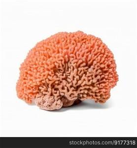 Coral isolated. Illustration Generative AI
