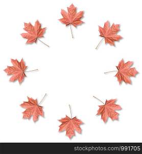 Coral Maple leaves organized in round frame with copy space. Fall background.. Maple leaves organized in round frame with copy space. Fall background.