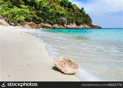Coral on romantic beach, Perhentian Islands, Malaysia. Coral on a beach, Perhentian Islands, Malaysia