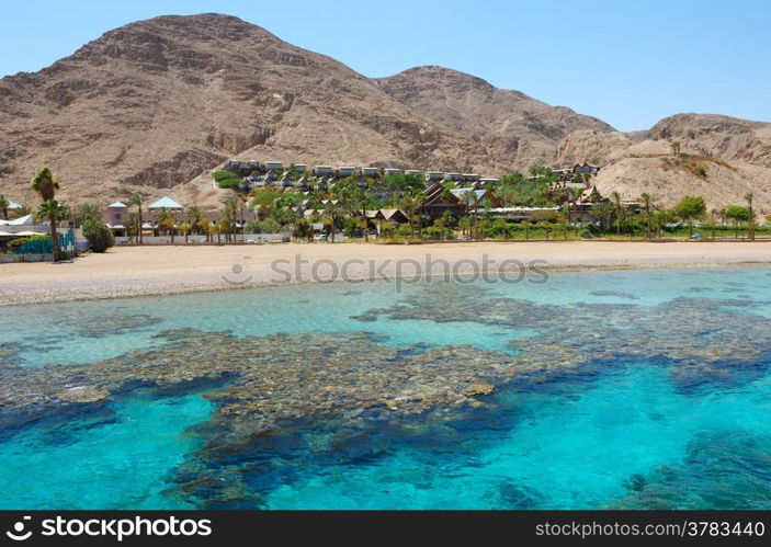 Coral reef in the Gulf of Eilat Red Sea