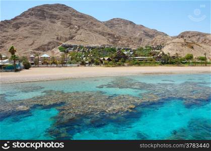 Coral reef in the Gulf of Eilat Red Sea