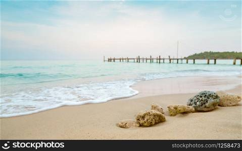 Corals on sand beach by the sea with blue sky and white clouds. Summer vacation on tropical paradise beach concept. Ripple of water splash on sandy beach. Summer vibes. Coral that were washed ashore.