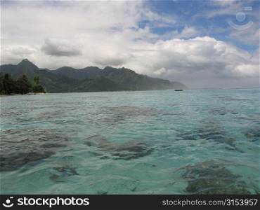 Corals seen under clear and shallow water, Moorea, Tahiti, French Polynesia, South Pacific