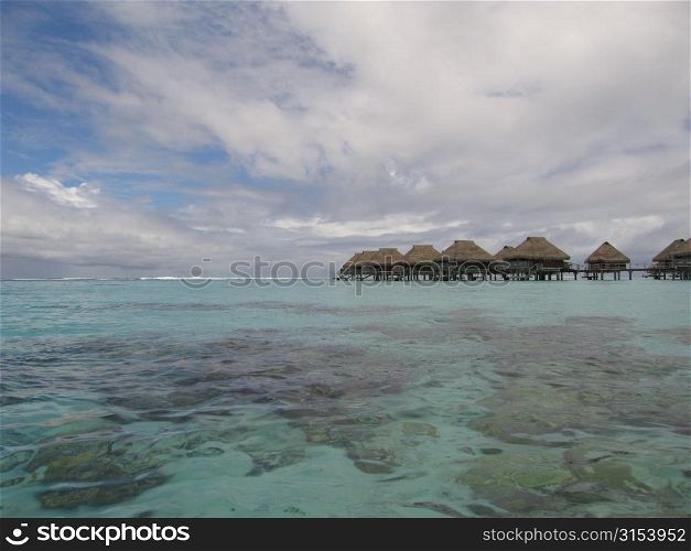 Corals under water seen clearly, Moorea, Tahiti, French Polynesia, South Pacific