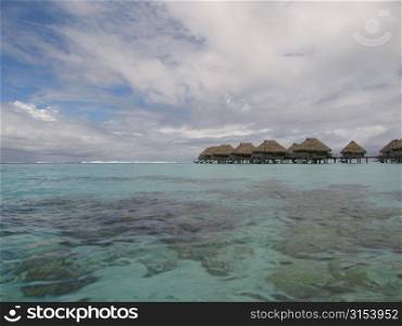 Corals under water seen clearly, Moorea, Tahiti, French Polynesia, South Pacific