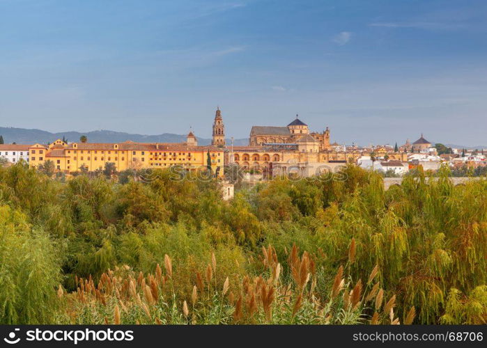 Cordoba. Cathedral. Mesquita.. Mezquita Mosque - Catedral de Cordoba. Cordoba. Andalusia Spain