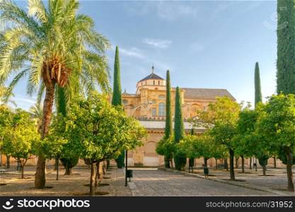 Cordoba. Cathedral. Mesquita.. Orange yard in the cathedral. Cordoba. Andalusia
