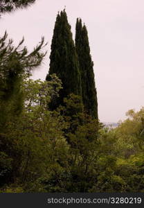 Corfu landscape