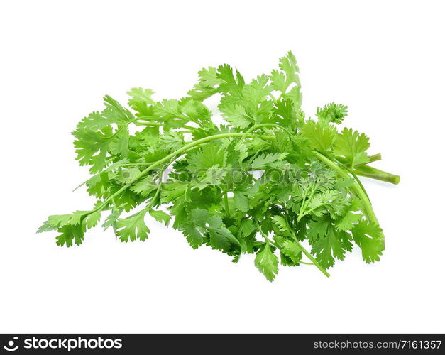 Coriander isolated on white background