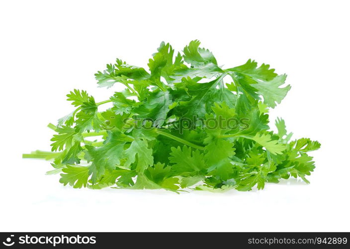 coriander on white