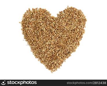 coriander seeds a heart on white background