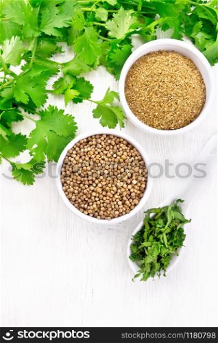 Coriander seeds and ground in two bowls, dried cilantro in a spoon, seasoning greens on wooden board background from above