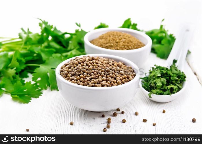 Coriander seeds and ground in two bowls, dried cilantro in a spoon, seasoning greens on white wooden board background