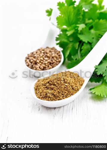 Coriander seeds and ground in two spoons, fresh cilantro on a white wooden board background