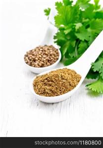 Coriander seeds and ground in two spoons, fresh cilantro on a white wooden board background