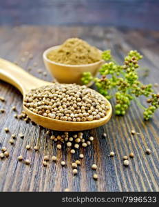 Coriander seeds in a spoon and powder in a bowl, umbrella immature green coriander seeds on the background of dark wooden board