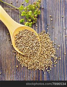 Coriander seeds in a spoon, umbrella immature green coriander seeds on the background of the wooden planks on top