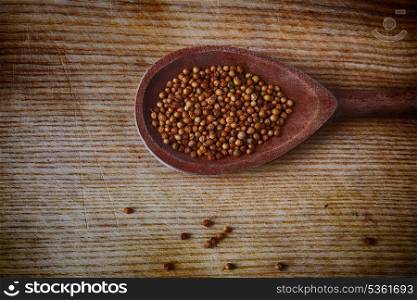 coriander seeds in wooden spoon, close up