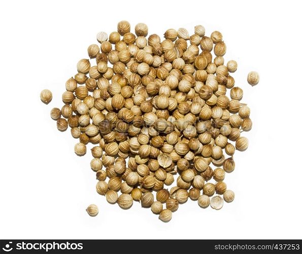 Coriander seeds isolated on white background + clipping path