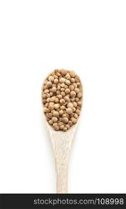 Coriander seeds spices in wooden spoon isolated on white background. Coriander seeds spices in wooden spoon isolated on white backgro