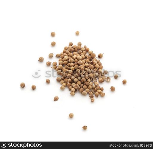Coriander seeds spices isolated on white background. Coriander seeds spices isolated on white