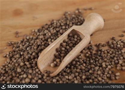 Coriander seeds with a wooden spoon on a small wooden tray. Beautiful photos of culinary magazines. Coriander seeds with a wooden spoon on a small wooden tray. Beautiful photos of culinary magazines.