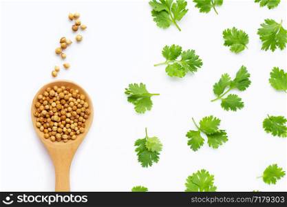 Coriander seeds with fresh leaves isolated on white background.