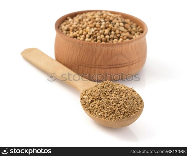 coriander spices in spoon isolated on white background