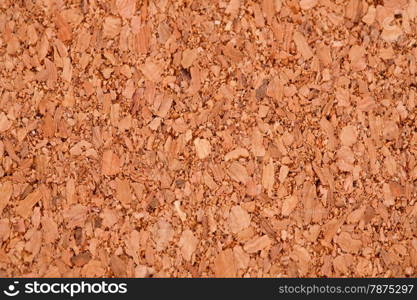 Cork board texture for background, close-up image.