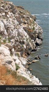 Cormorant population on Kazantip cape (Crimea, Ukraine). Three shots composite picture.