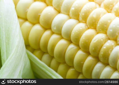 Corn