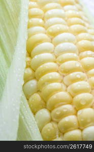 Corn