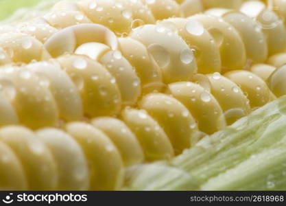 Corn