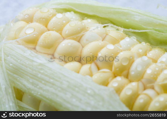 Corn