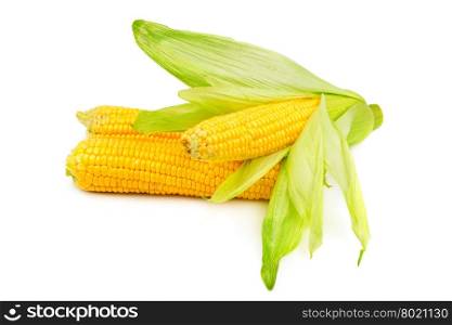 Corn cob isolated on white background