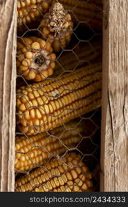 corn cobs country lifestyle