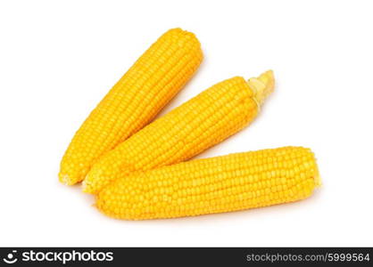 Corn cobs isolated on the white background