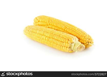 Corn cobs isolated on white background.