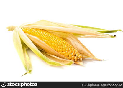 Corn cobs isolated on white background
