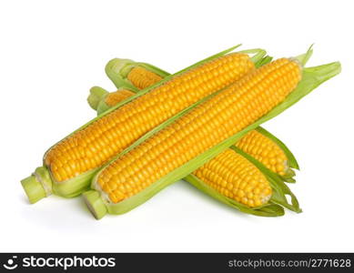 Corn ear isolated on white