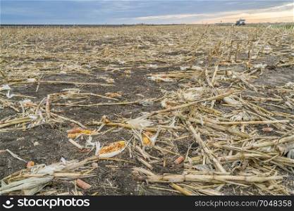 corn field after harvest in western Kansas