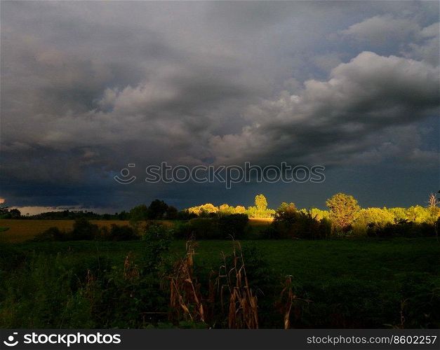 corn field with storm cloud