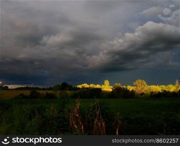 corn field with storm cloud