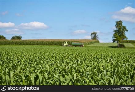 corn field with tractor