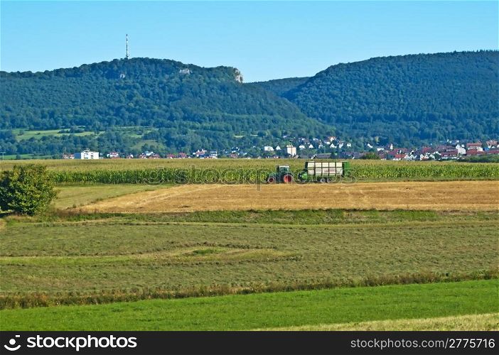 corn field with tractor